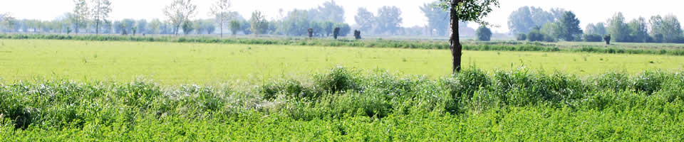 Caseificio San Vitale - territorio